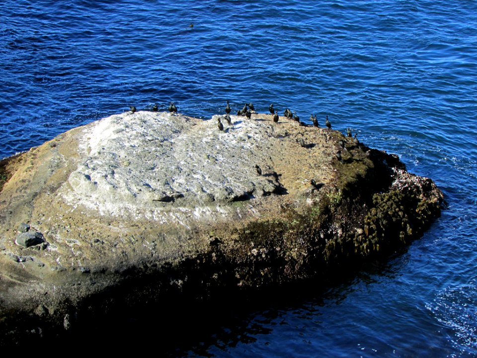 Cape Flattery at Neah Bay in WA