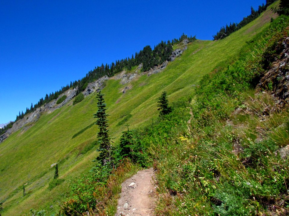 Tatoosh Wilderness in WA