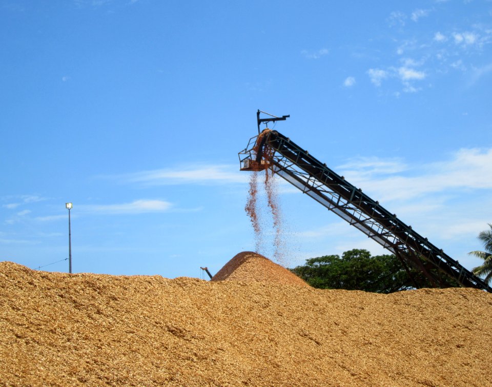 Lautoka Sugar Cane to saw dust Fiji