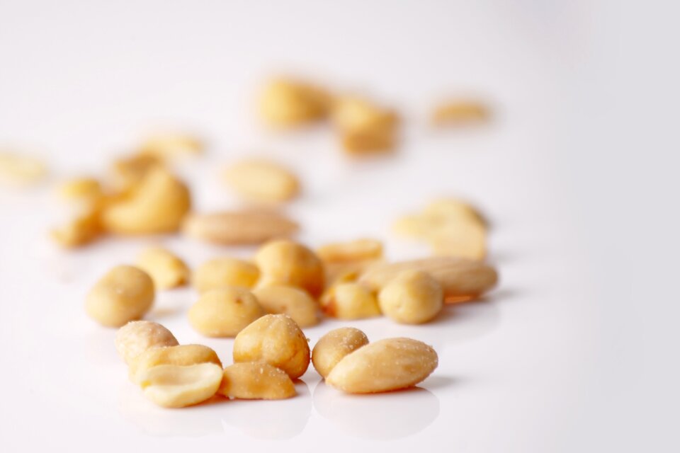 Walnut collection snack walnuts