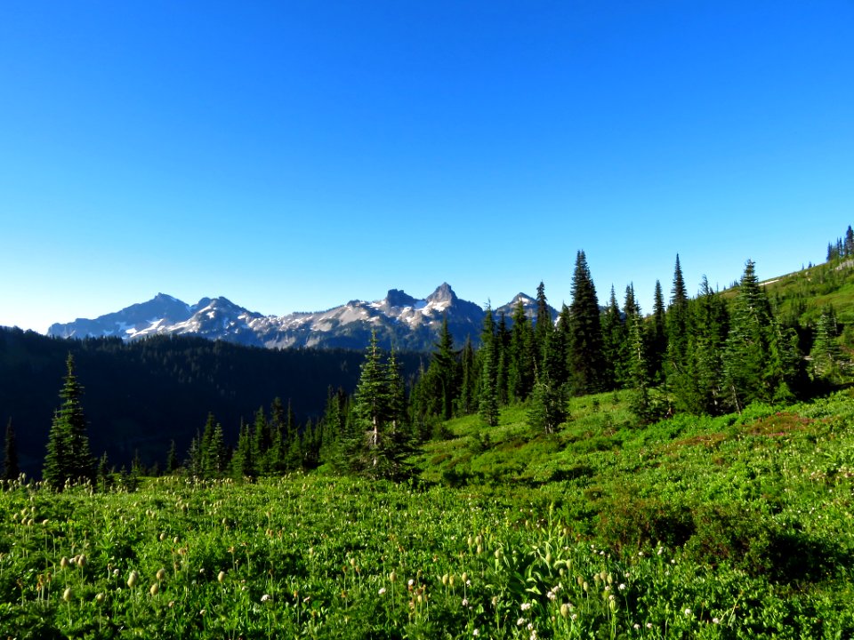 Skyline Trail at Mt. Rainier NP in WA