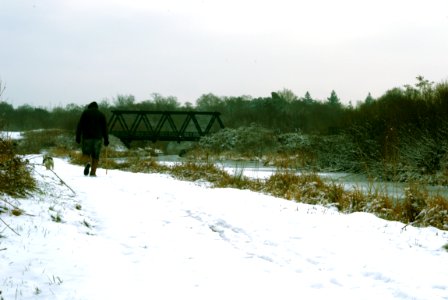 the iron bridge photo