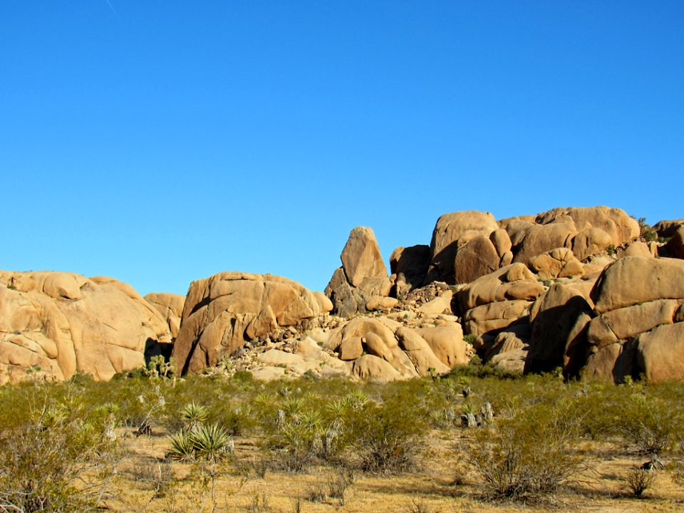 Joshua Tree NP in California