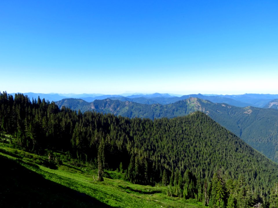 Tatoosh Peak Trail in WA