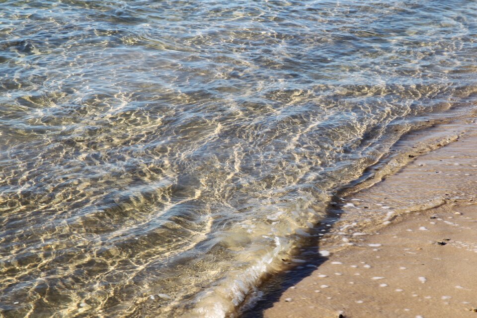 Beach ocean nature
