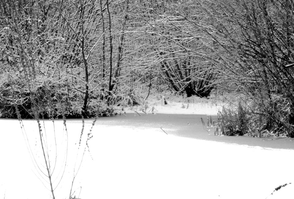 black and white frozen canal