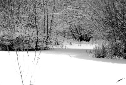 black and white frozen canal