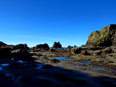 Low Tide at Pacific Coast in OR photo
