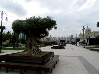 Heydar Aliyev Park Baku Azerbaijan