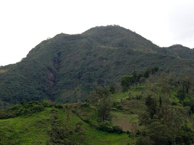 Mountains forest green trees
