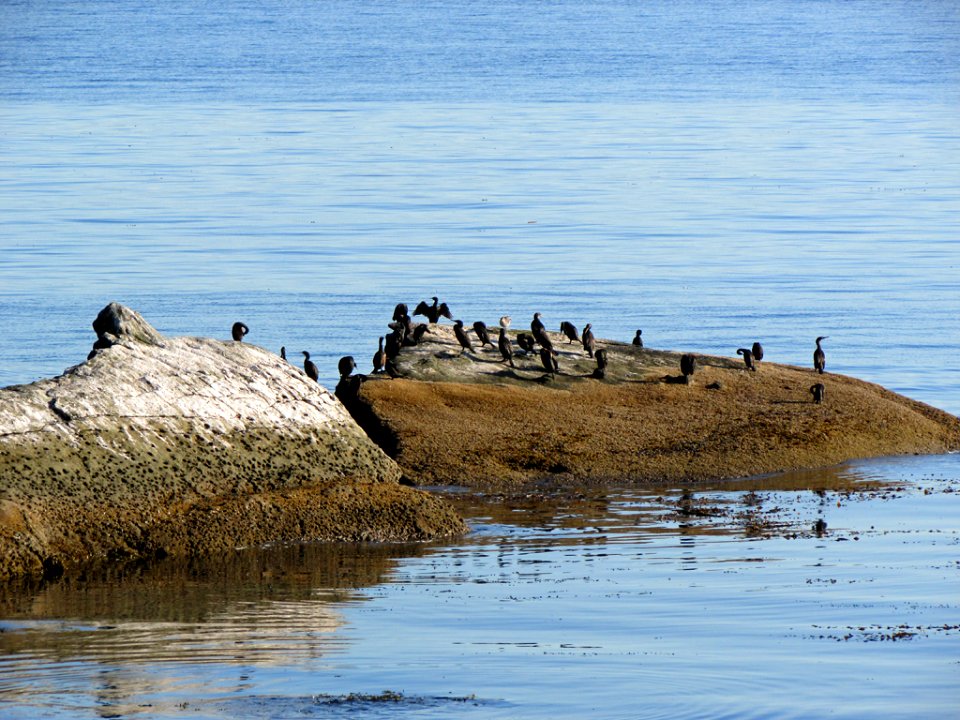 Neah Bay at Pacific Coast in WA