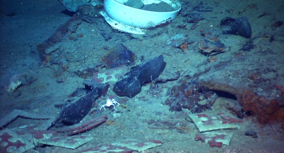 Titanic Human Remains