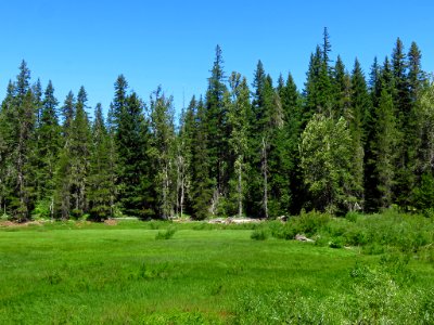 Mt. Adams Wilderness in WA