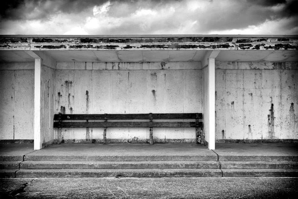 Shelter?