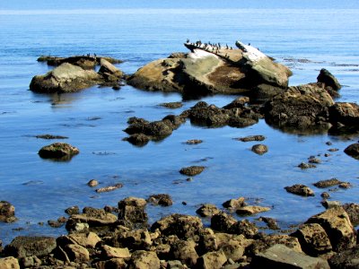 Neah Bay at Pacific Coast in WA