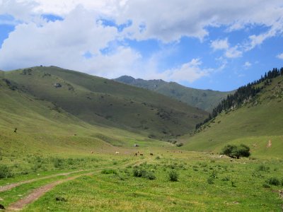 Hillside roads of North Kyrgyzstan photo