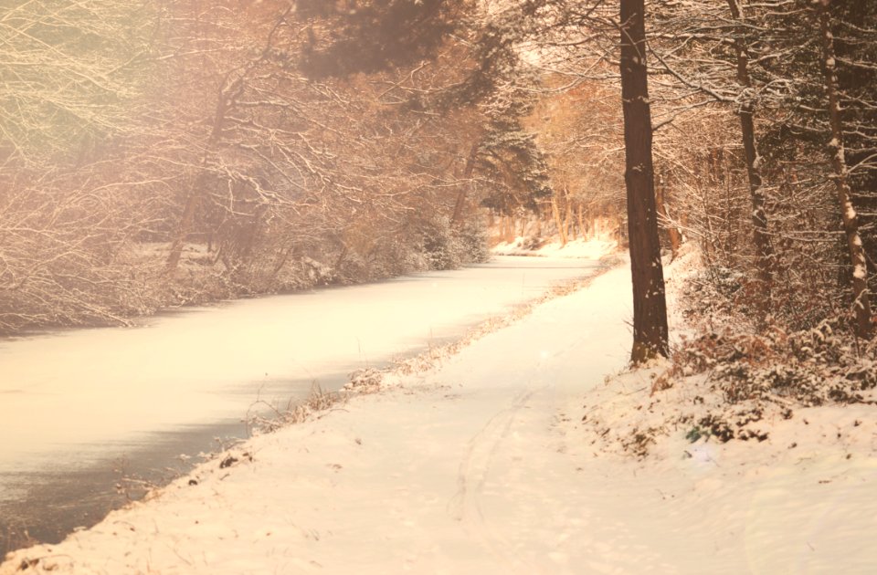 the frozen canal
