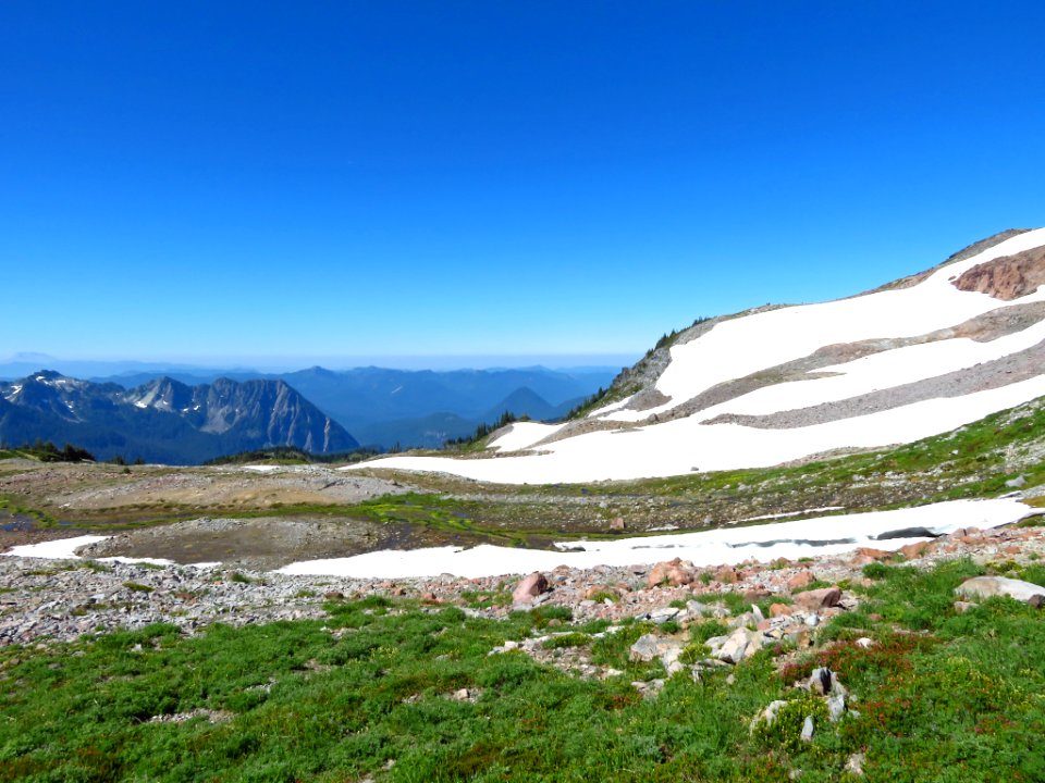 Skyline Trail at Mt. Rainier NP in WA
