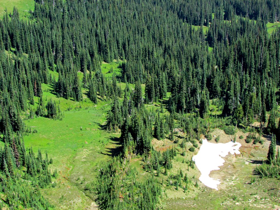 Mt. Rainier NP in WA
