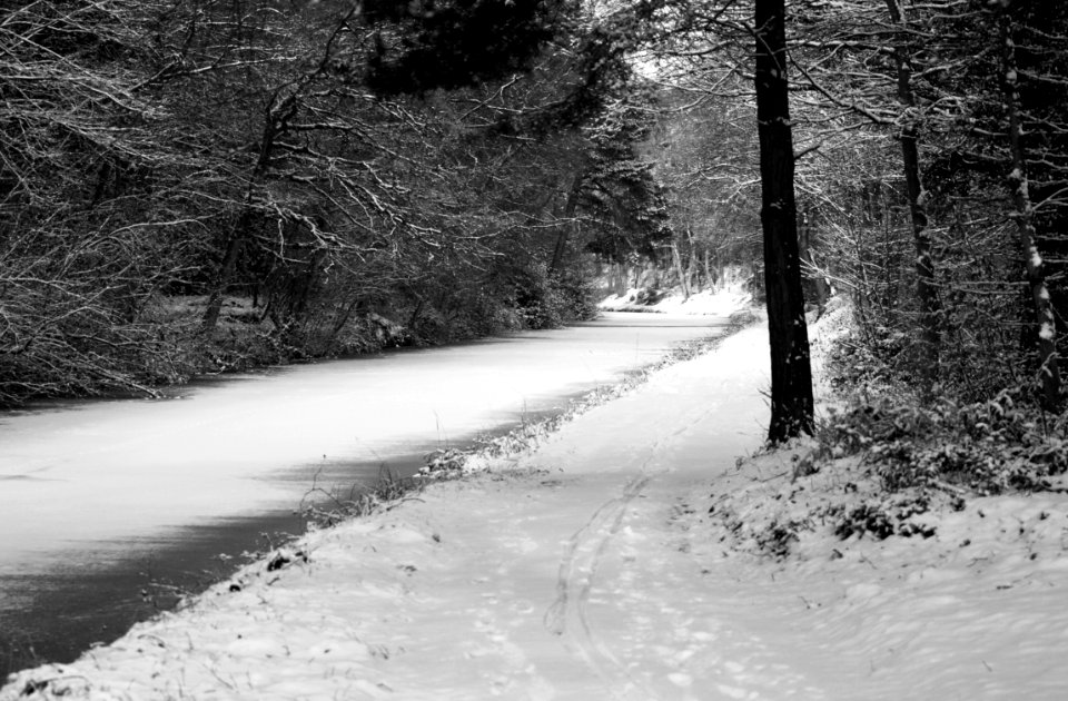 black and white towpath