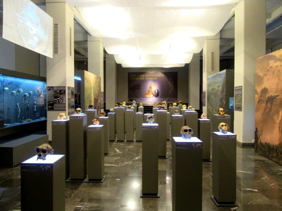 Ancient Skulls Museum of Georgia Tbilisi