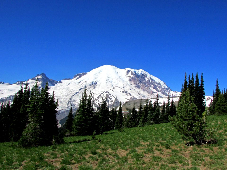 Mt. Rainier NP in WA