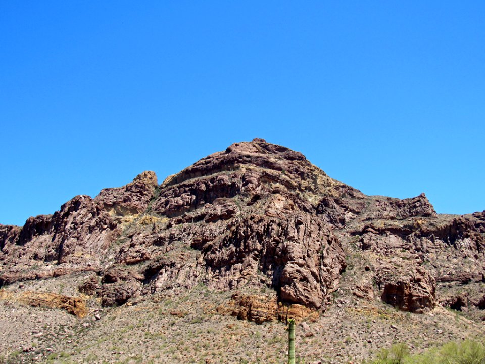 Organ Pipe Cactus NM in Arizona