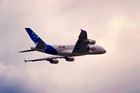 a380 lovebus photo