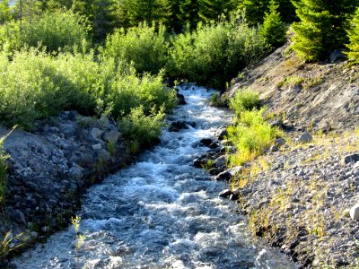 Stream by Mt. St. Helens in Washington