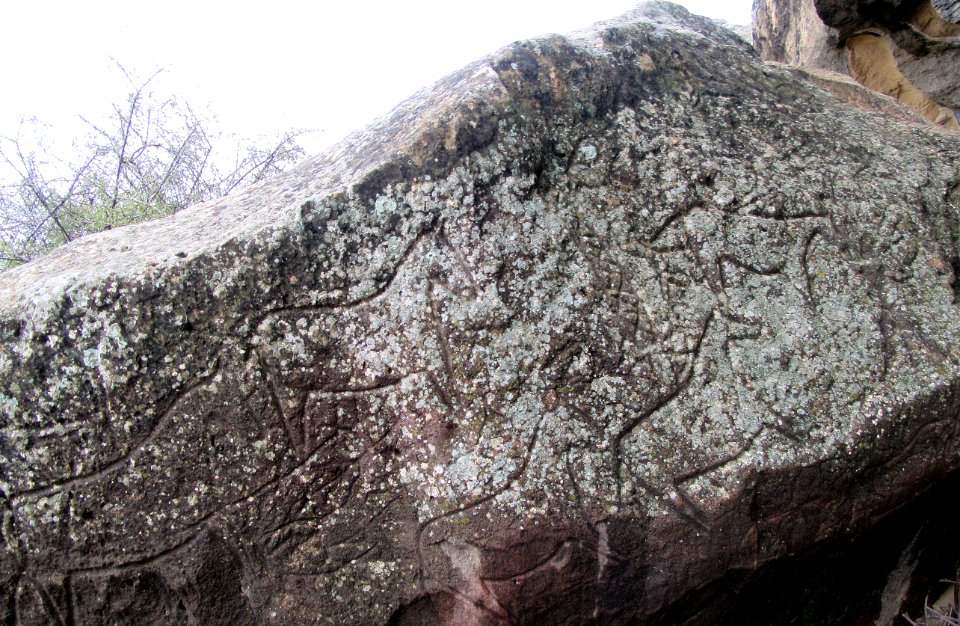 Petroglyphs Qobustan horses Azerbaijan