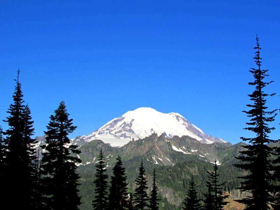 Mt. Rainier NP in WA