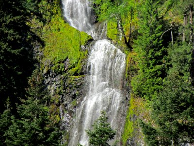 Waterfall at Mt. Rainier NP in WA photo