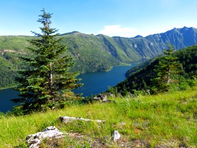 Coldwater Lake Trail at Mt. St. Helens NM in Washington