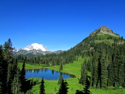 Tipsoo Lake at Mt. Rainier NP in WA