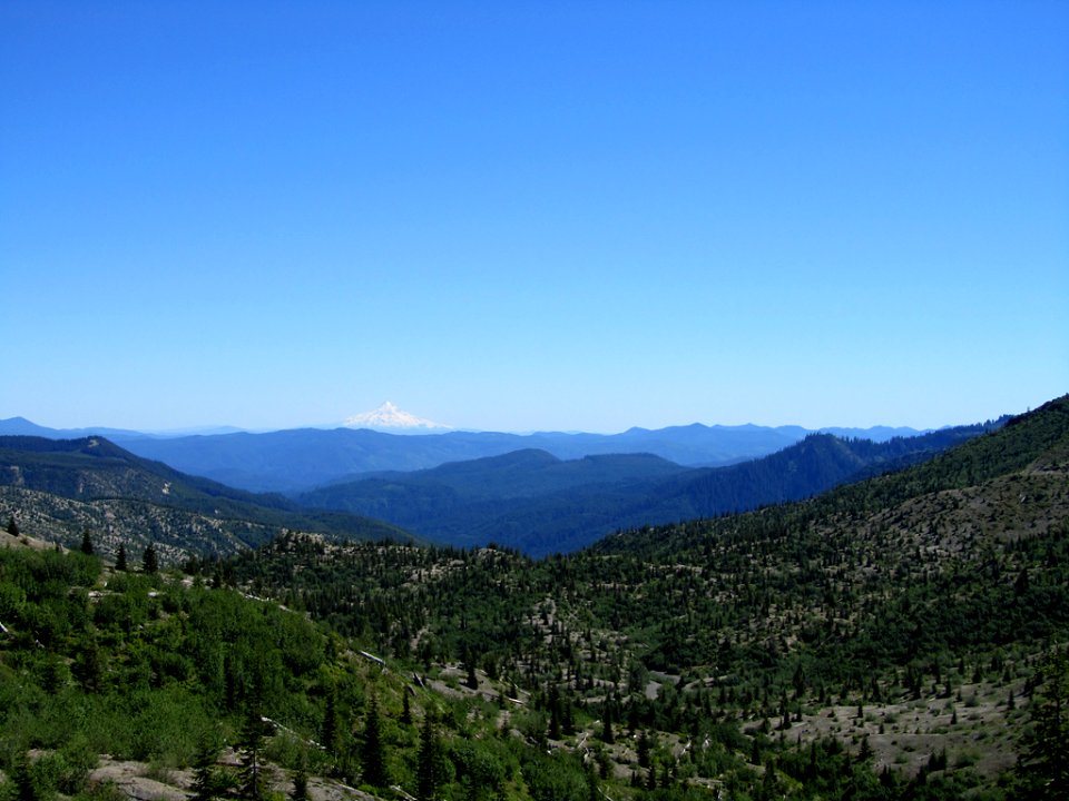 View of Mt. Hood from Windy Ridge in Washington
