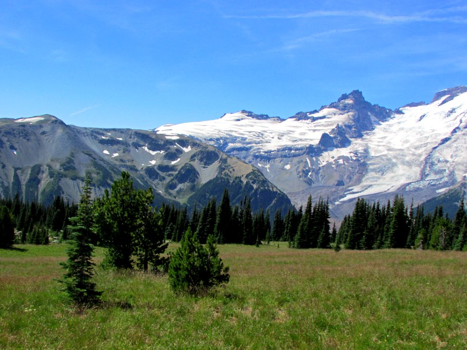 Mt. Rainier NP in WA