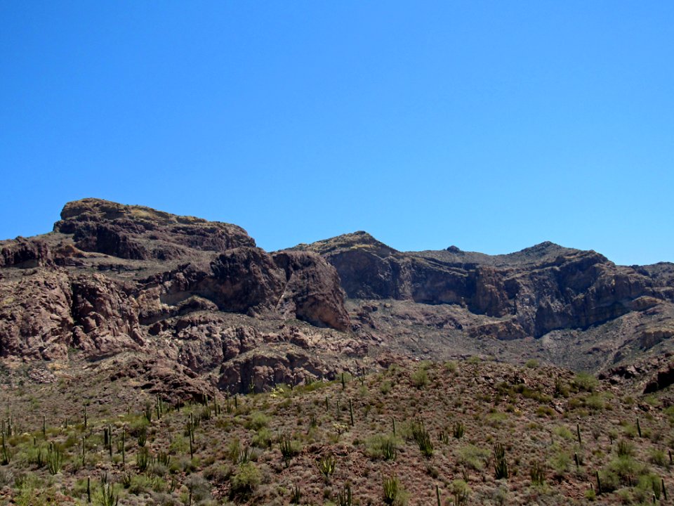 Organ Pipe Cactus NM in Arizona