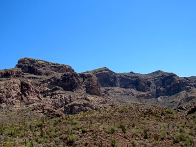 Organ Pipe Cactus NM in Arizona