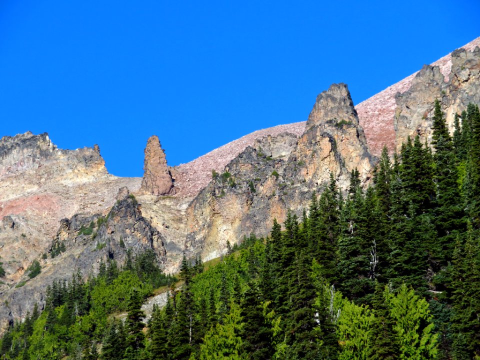 Glacier Basin Trail at Mt. Rainier NP in WA