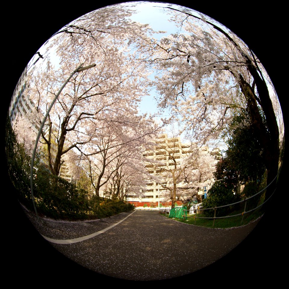 DSC00255
