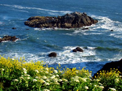 Yaquina Head Natural Area in OR
