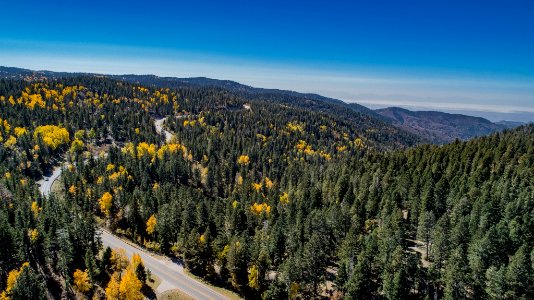 D2 Sunspot Scenic Biway Fall 2020 photo