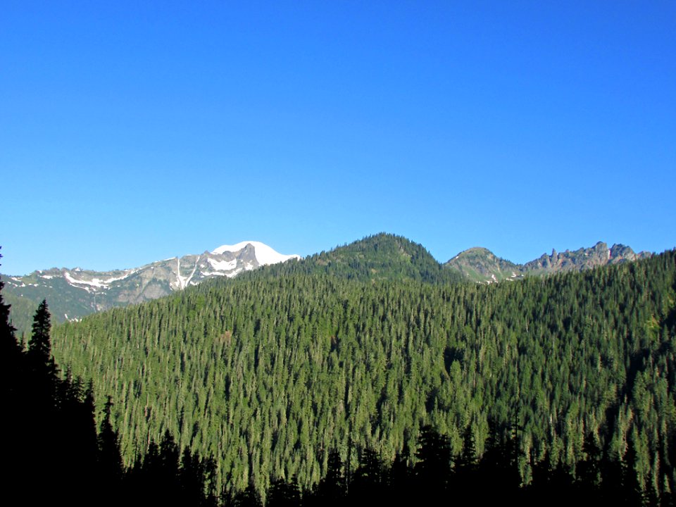 Mt. Rainier NP in WA