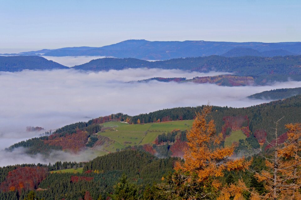 Herbstnebel autumn colours autumn mood