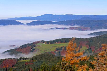 Herbstnebel autumn colours autumn mood