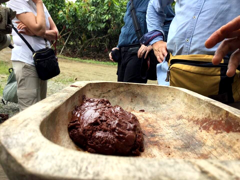 Cacao 5