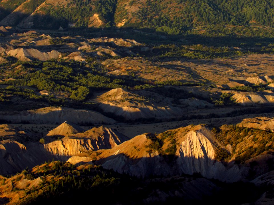 Toutle Valley at Mt. St. Helens