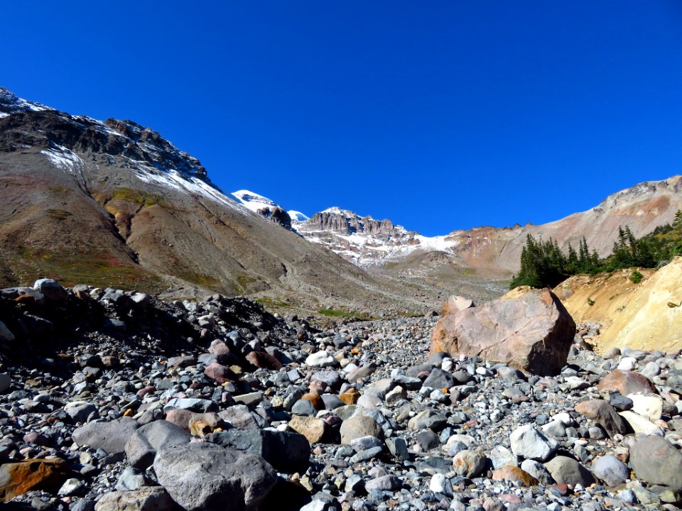 Glacier Basin Trail at Mt. Rainier NP in WA