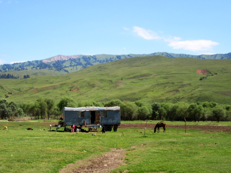 Caravan and horse Kyrgyzstan