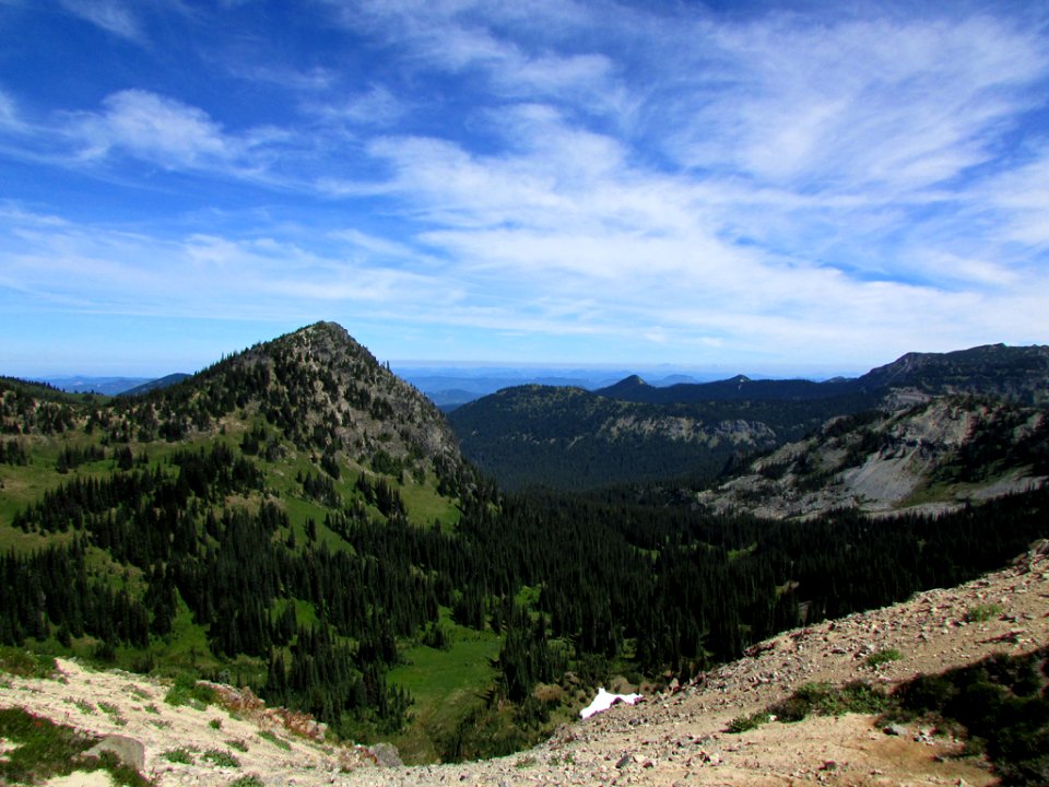 Mt. Rainier NP in WA